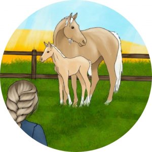 2. Ausgabe - 12. Geschichte