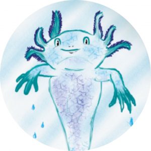 1. Ausgabe - 12. Geschichte