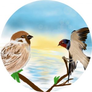 1. Ausgabe - 9. Geschichte